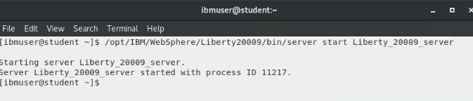 starting server 20009