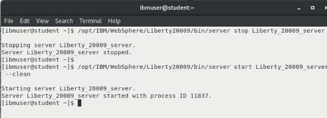 restarted Liberty server